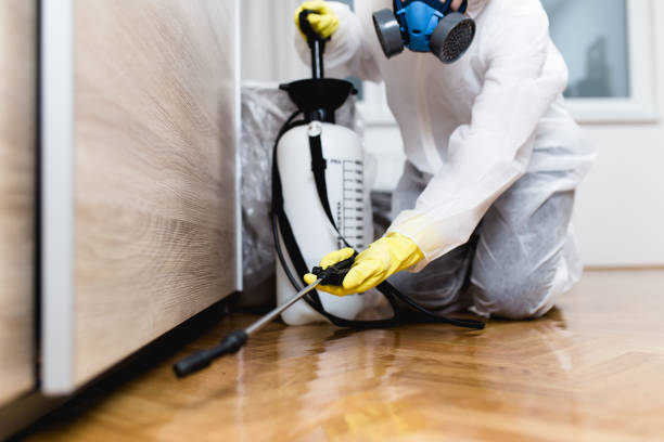 Pest Control Cost in St Joseph, MO